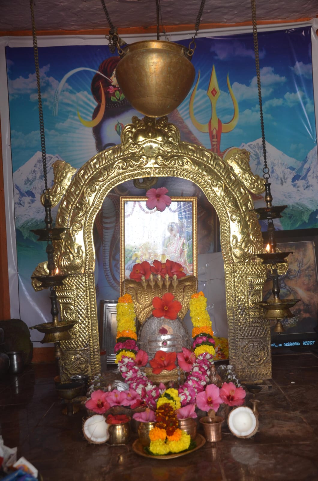 Sri Padmalingeswara Swamy Darshan
